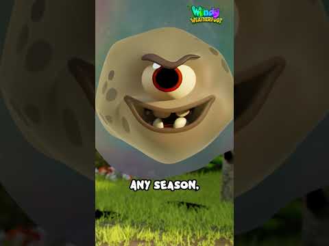 The snarkles are coming 😨 | Windy Weatherfoot | Cartoon for Kids