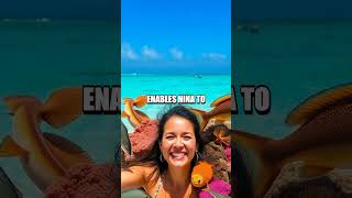 Pearl of Fortune: An Unexpected Windfall