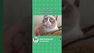 Here's the history behind the internet's most iconic (and most grumpy) cat.🐈️ #grumpycat