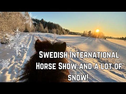Swedish International Horse Show and a lot of snow!