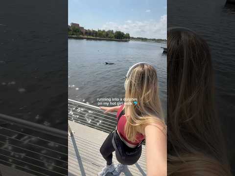 Living in Florida is Running Into Dolphins on Your Hot Girl Walk 🐬