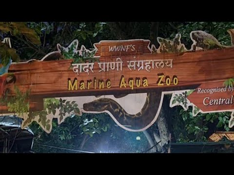 Marine Aqua Zoo at Dadar | Near Shivaji Park