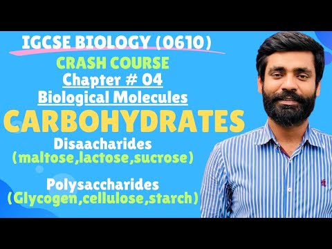 IGCSE Biology|**Chapter #04 Biological Molecules (Disaccharides & Polysaccharides)