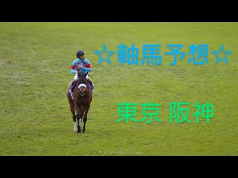 11/28 競馬予想 軸馬