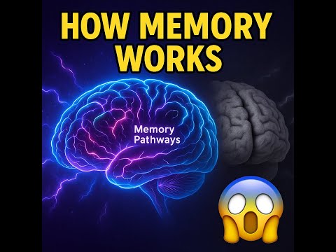 👉 How Does Your Brain Store Memories? | Mind-Blowing Neuroscience Explained