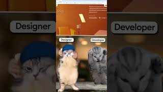 Designer vs Developer #shorts #designer #developer