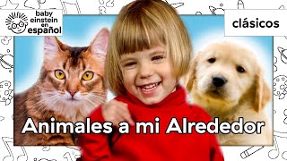 Animales a mi Alrededor | Clásicos de Baby Einstein | @BabyEinsteinenEspanol