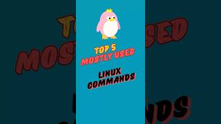 Top 5 Linux Commands Used by System Engineers SRE #linuxadministrator #systemadmin #linuxsystem