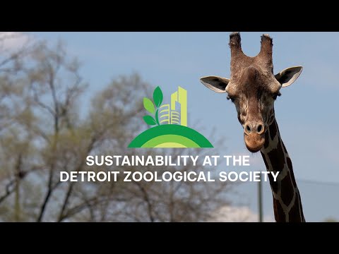 SBND Interviews Andy McDowell, manager of sustainability for the Detroit Zoological Society
