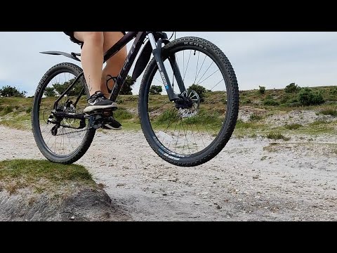 Birthday ride around New Forest National Park