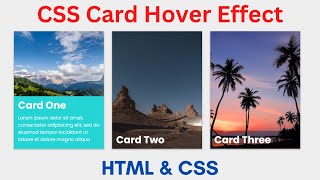 CSS Card Hover Effect | CSS Animation | CSS Transition