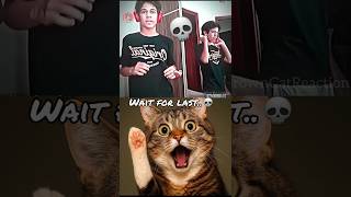 bro's mirror 💀 #cat #meme #funny #technologia