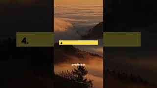 Get More Done in Less Time ⏳ #efficiencyhacks