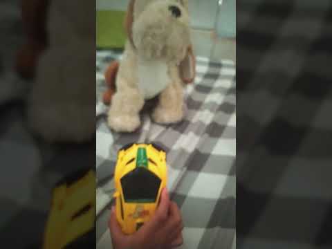 The Car Now Dead Comment Rip Car