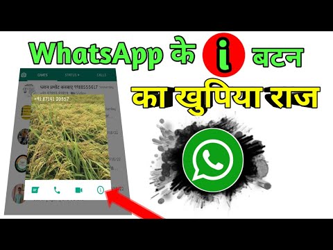WhatsApp के  (i)  बटन का खुफिया राज || WhatsApp (i) Button Setting || Ami Goutam