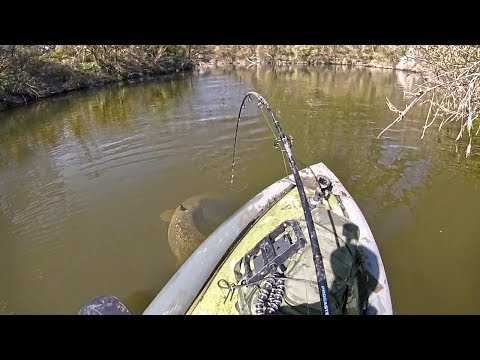 SILURE EN PADDLE ! RIVERSIDE #6