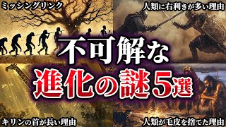 【ゆっくり解説】真相が気になる不可解な進化の謎5選