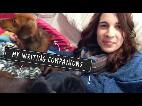 Rachel Morgan's Writing Companions - Flapjack, Bonnie and Pepper