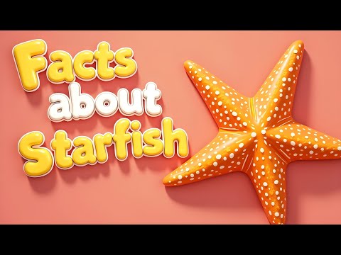 Amazing Starfish Facts for Kids | Fun Ocean Animal Facts!