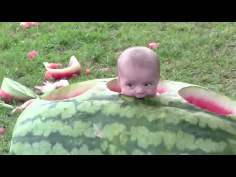 Best Funny Baby Videos Compilation    Funny Babies Videos
