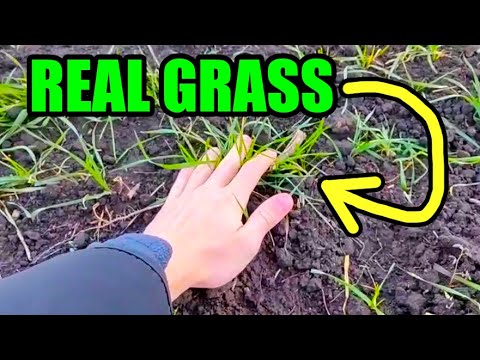 I went outside (10k subs special)