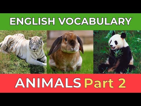 Mastering Animals Vocabulary Part 2: Building Your English Foundation