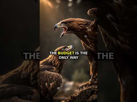 The Truth About America's Military Budget #military
