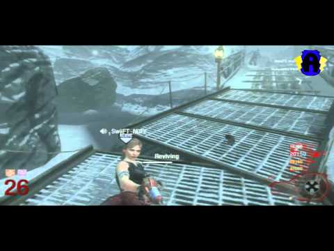 Black Ops Zombies: Call of the Dead 4 players