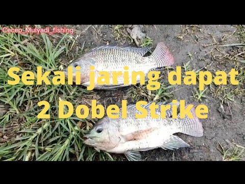 Sekali ke jaring dapat 2 dobel strike