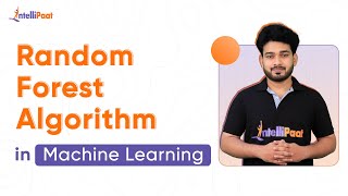 Random Forest Explained | Random Forest Algorithm in Machine Learning | Data Science | Intellipaat