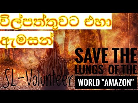 විල්පත්තුවට එහා ඇමසන් -ඇමසන් ව්‍යසනය #SL Volunteer/ AMAZON Disaster Sinhala review #SL Volunteer