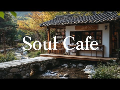 🌿 작은 연못 북카페 | 서정적인 멜로디의 감성 팝 발라드 💿 | 카페에서 듣기좋은 노래 | Mellow Vibes | 그냥 틀어 놓으세요