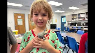Hour of Code 2024 Canterbury School