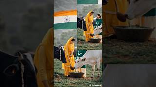 A INDIAN GIRL take care a very weak unhealthy cow INDIA V/S PAKISTAN best cow voting #shorts #cow
