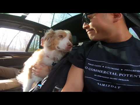 Hiking in the Catskill Mountains