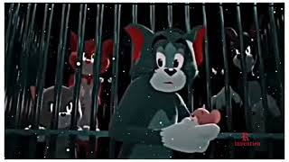#happy birthday #tomandjerry #tom #jerry #randominvention #random