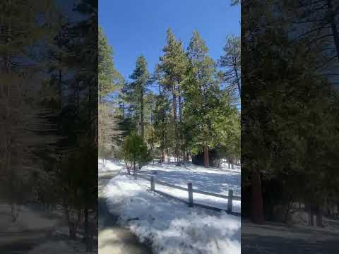 #idyllwild #familyday #sunday #sundayfunday #snow