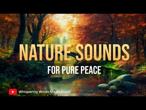 Peaceful Nature Sounds: Birdsong, Gentle Brook & a Soft Breeze for Relaxation, Study & Sleep