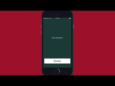 Fix Blacklisted iPhone 13 phone