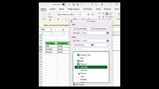 Excel Filters: The Ultimate Tutorial