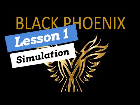Lesson 1: Simulation | Want to learn how to trade stocks?
