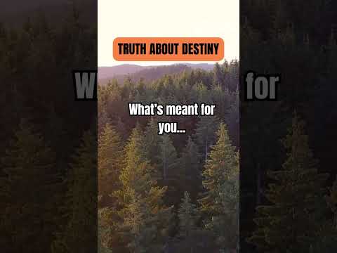 The Hidden Power of Destiny #truth #shorts