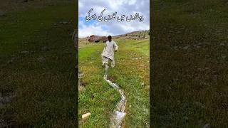 Beautiful Village Life in Mountain #mountainvillagelife #gilgitbaltistan #travel #shorts