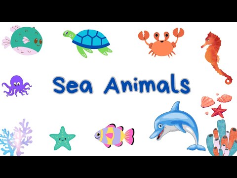 Sea Animals for Kids| Underwater Adventure