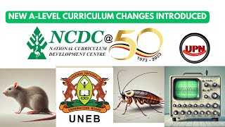 A-Level Curriculum 2025 it’s final All the changes you didn’t know.