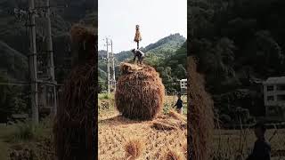 #shorts #agritools #farming2024 #agriculture  #JIKreactionagritools in farming 2024