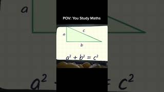 Studying maths is like a rollercoaster⬆️⬇️#maths#memes #viralvideo #funnymath#usethisaudio#mathmemes