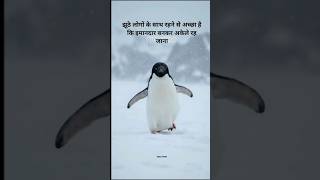 chale aana lofi sad song #sad #alone #alonestatus #alone_status #sadstatus #sadsong #armanmalik