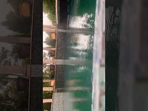 Hot tub in torndo most merican thing