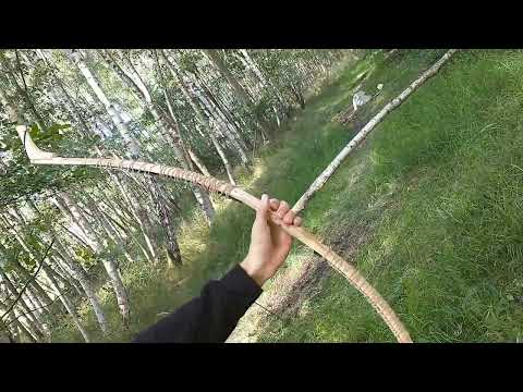 Birch bark Backed Composite Bow Demo & Shooting